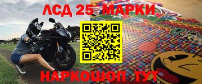 крисы Аргун