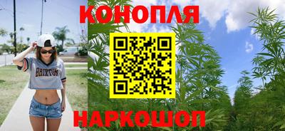 крисы Аргун