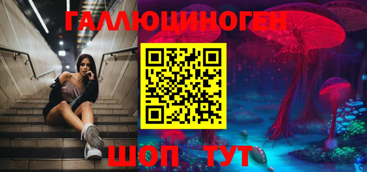 Галлюциногенные грибы Psilocybine cubensis Брянск